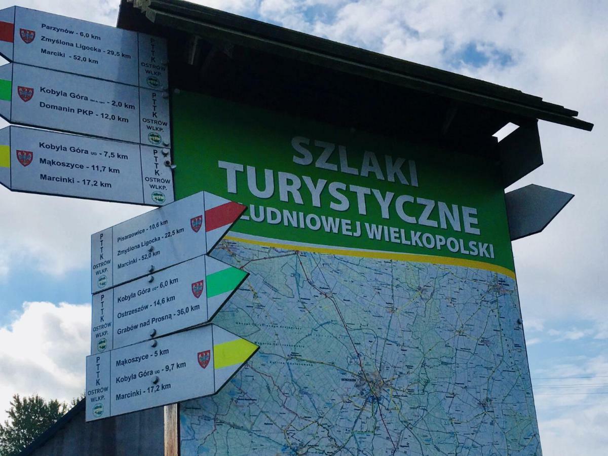 Landsteder Ignacowka Kobyla Góra